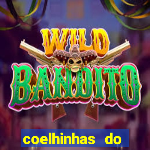 coelhinhas do brasil site